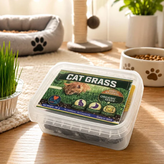 علف گربه تادو | CAT GRASS